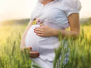 مراحل الحمل بالاسابيع بالتفصيل المرحلة الأولى