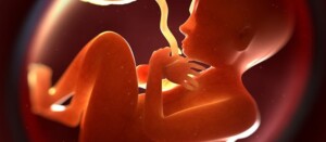 مراحل نمو الجنين في بطن امه بالاشهر والاسابيع